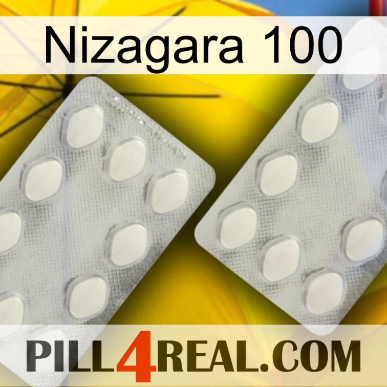 Nizagara 100 17